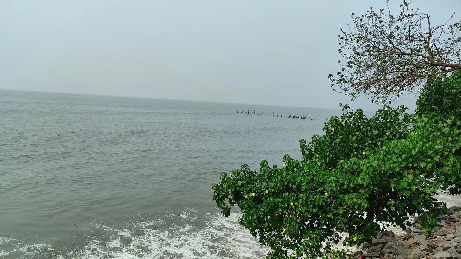 Coastal Den Homestay Pallipuram